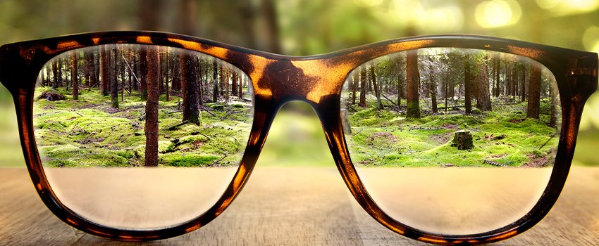 How Does Your Diet Affect Your Eyesight?